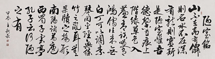 中国书法家协会会员 王新泉