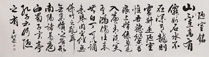 中国书法家协会会员 王新泉