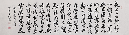 中国书法家协会会员 王新泉