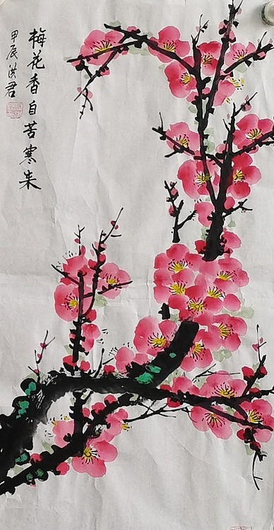 洪君 四季常春