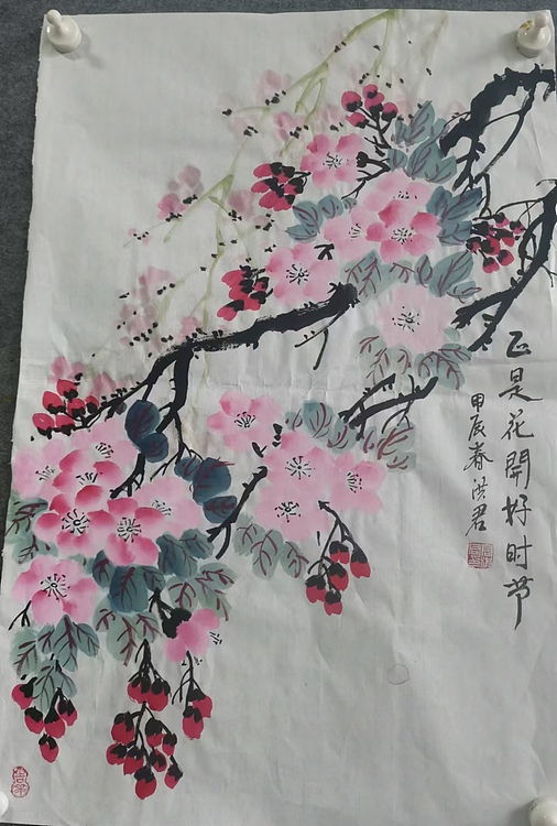 洪君 正是花开好时节