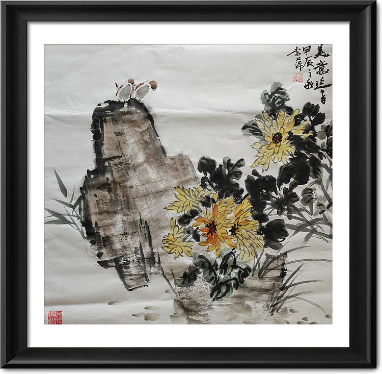 兰花 菊