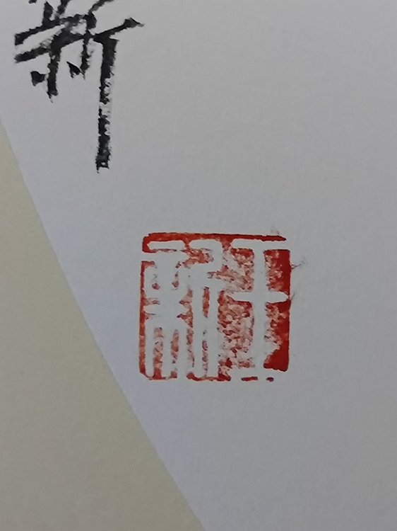 王新 灵犀