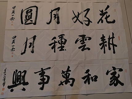 职业书画家 一念 书法
