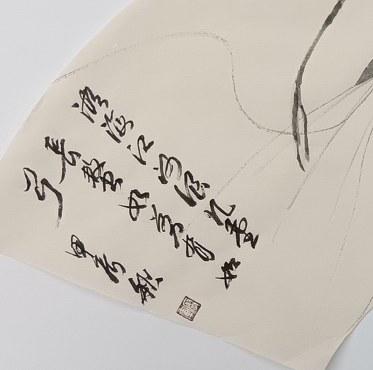 文化老兵 虾趣