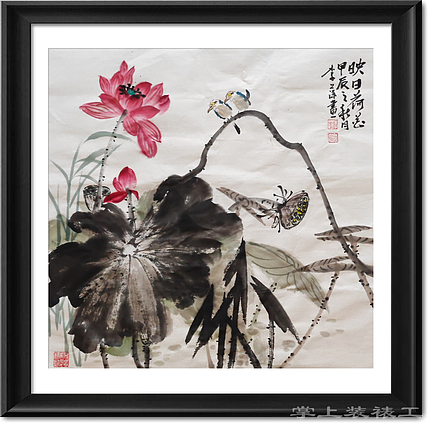 兰花 荷