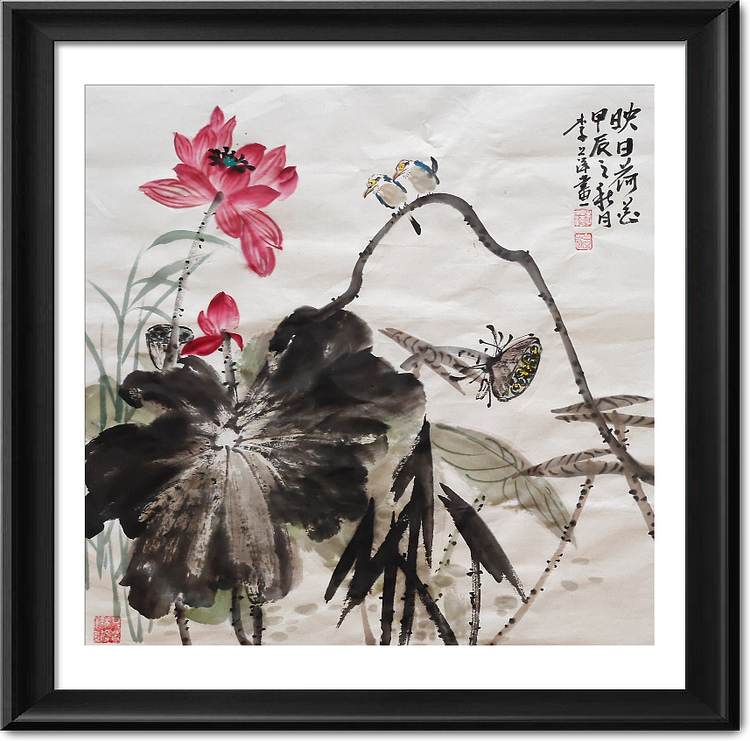 兰花 荷