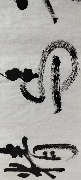 点空居士 龙马精神