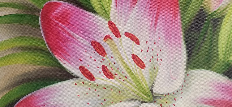 刘益芬 写实百合