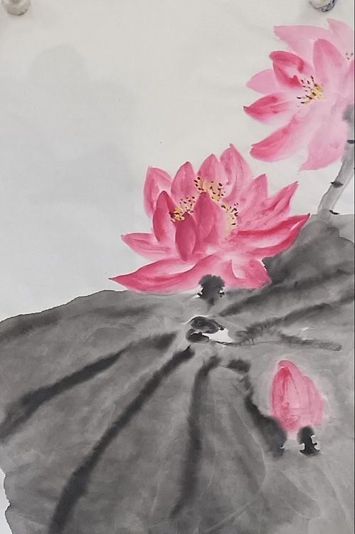 文化老兵 荷花鸢鸯