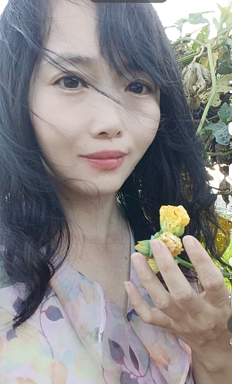陈雪娴 花开花落