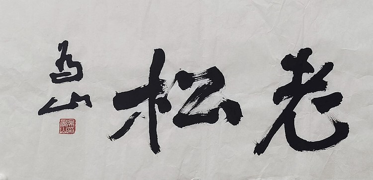 中国美术馆馆长 吴为山
