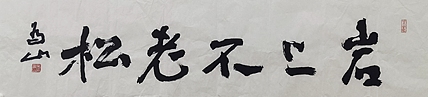 中国美术馆馆长 吴为山