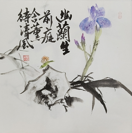 胡冰 精品水墨花鸟国画