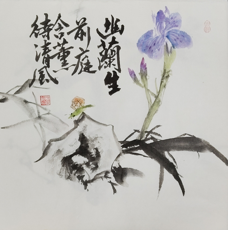 胡冰 精品水墨花鸟国画