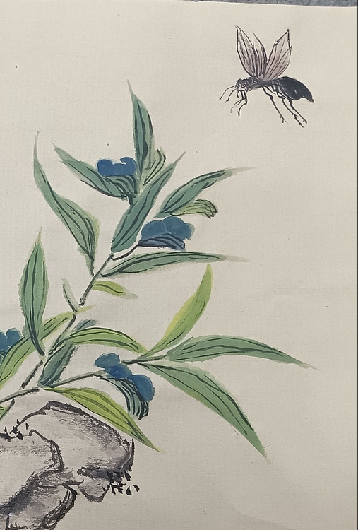 文化老兵 蜂