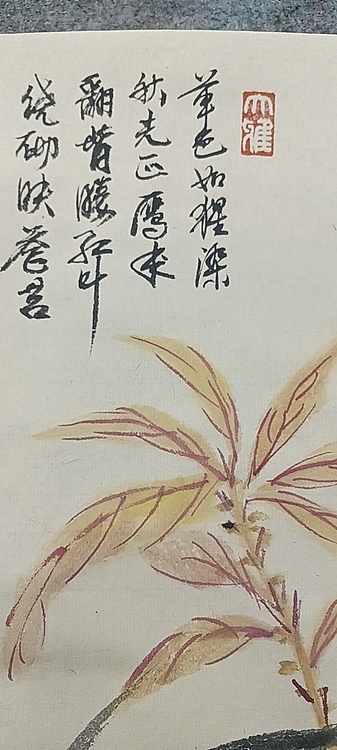 文化老兵 秋
