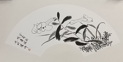 文化老兵 金盏花