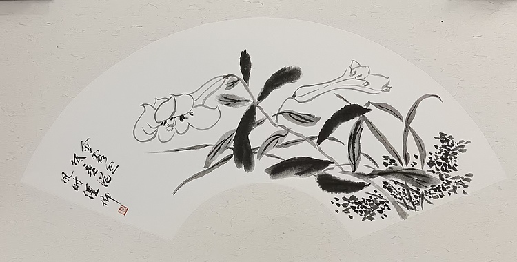 文化老兵 金盏花