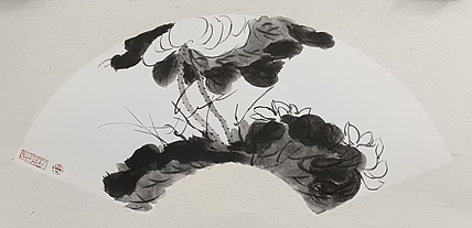文化老兵 荷花