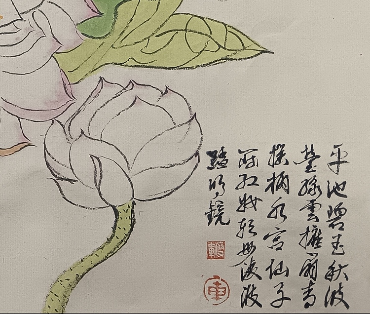 文化老兵 映日荷花