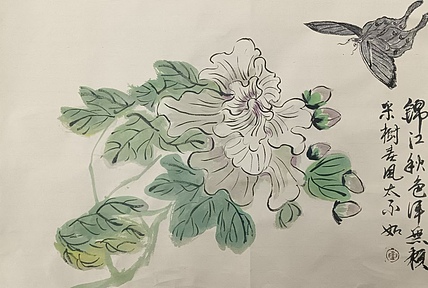 文化老兵 蝶恋花