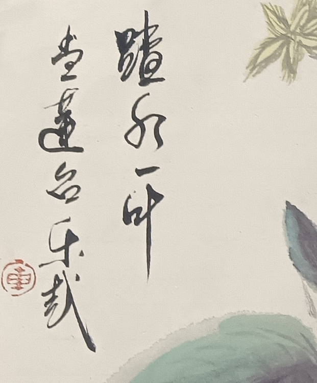 文化老兵 踏水荷叶