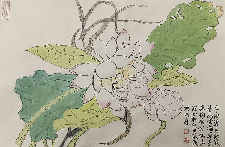 文化老兵 映日荷花