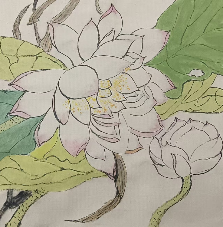 文化老兵 映日荷花