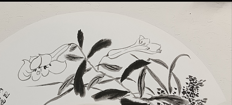 文化老兵 金盏花