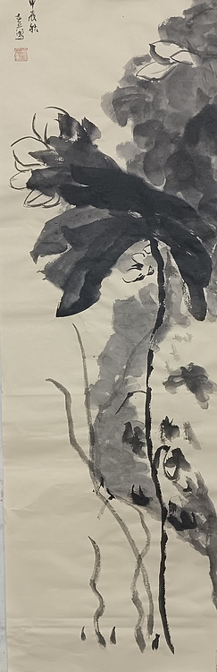 文化老兵 荷花