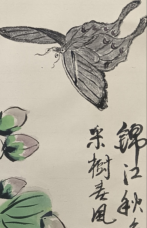 文化老兵 蝶恋花
