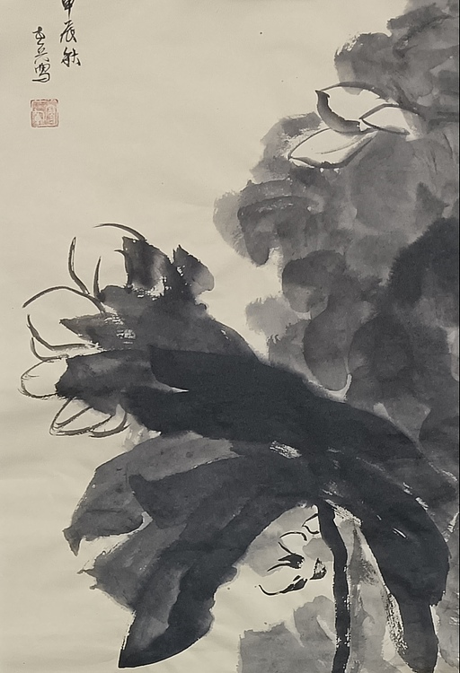 文化老兵 荷花