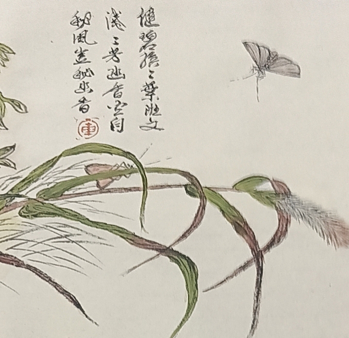文化老兵 相恋