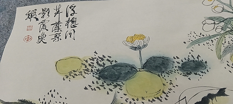 文化老兵 荷塘清趣