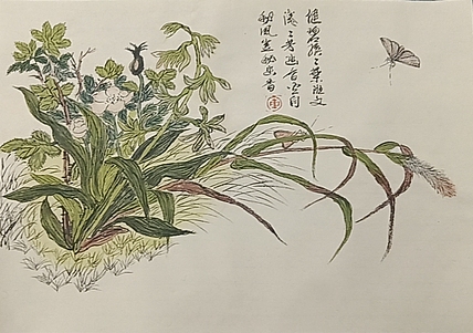 文化老兵 相恋