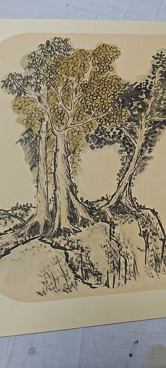 中国老年书画研究会会员 张宝霞 《古树》