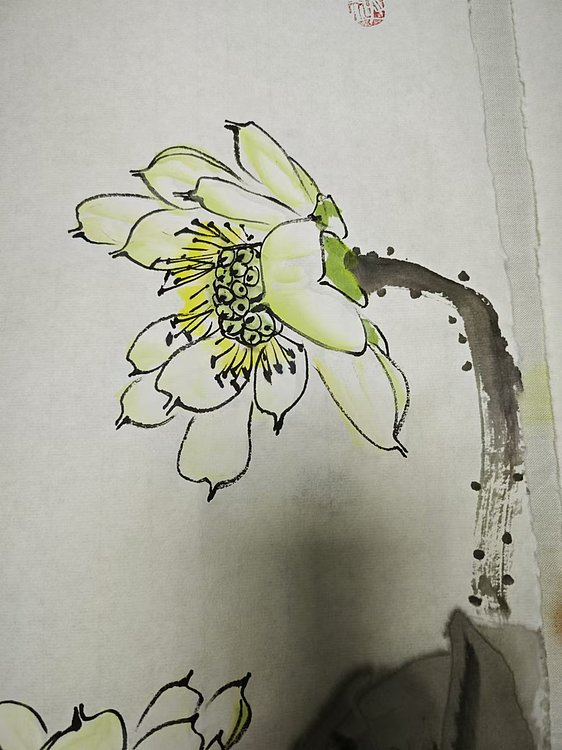 中国老年书画研究会会员 张宝霞 《荷花四条屏》