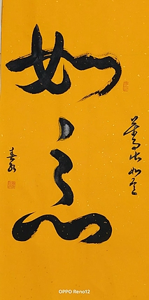胡春红 行书书法
