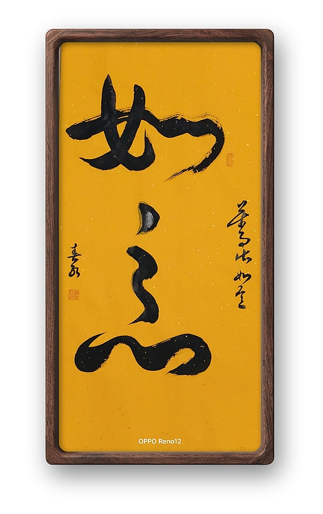 胡春红 行书书法