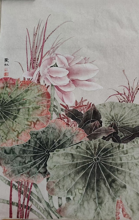 亓夏红 荷花