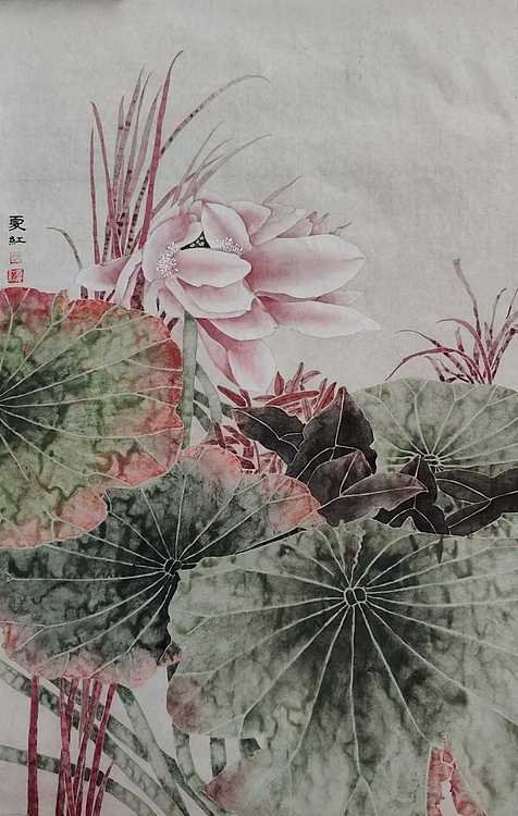 亓夏红 荷花