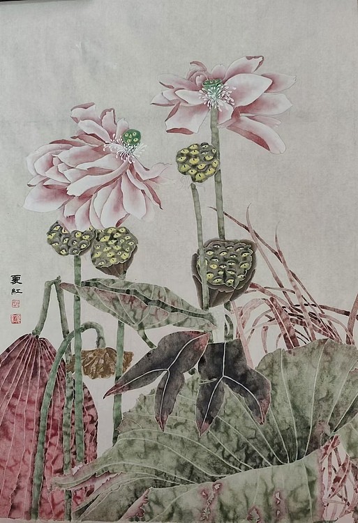 亓夏红 荷花