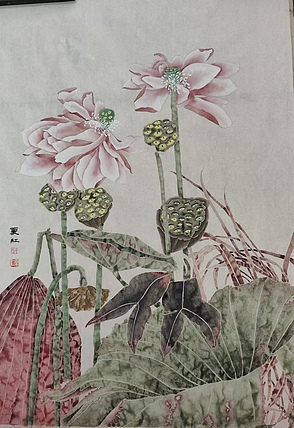 亓夏红 荷花