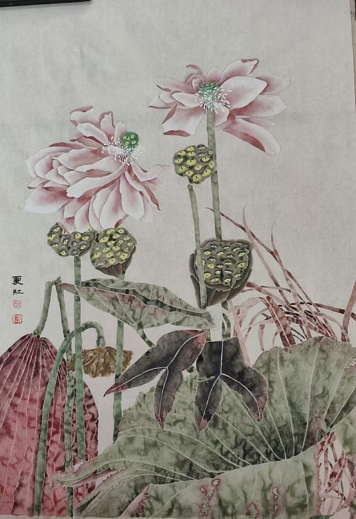 亓夏红 荷花
