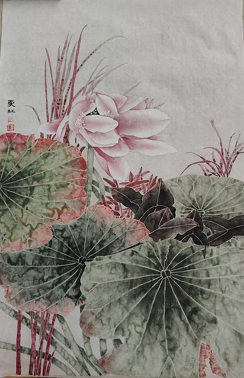 亓夏红 荷花