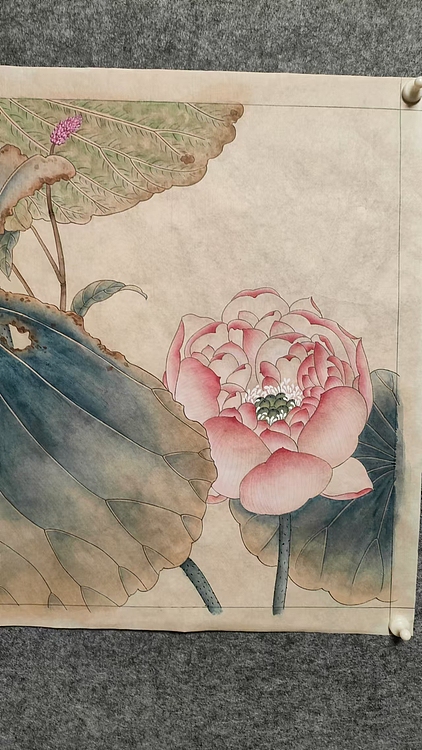 永遇乐 工笔花鸟