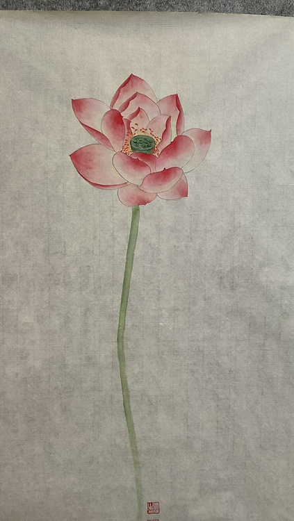 永遇乐 工笔花鸟