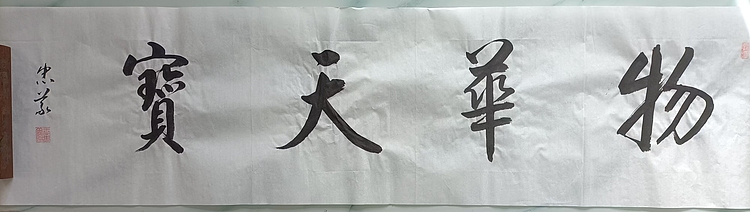 王忠義 物华天宝
