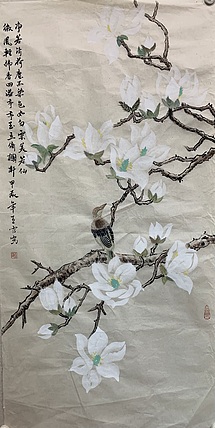 诗淇 净若清荷尘不染